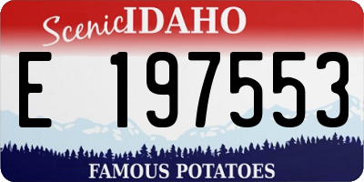 ID license plate E197553