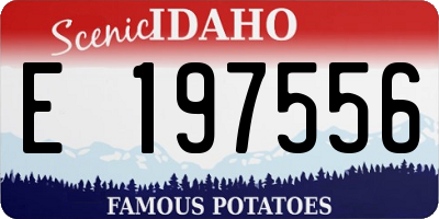 ID license plate E197556