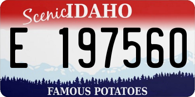 ID license plate E197560