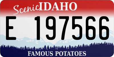 ID license plate E197566