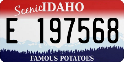 ID license plate E197568