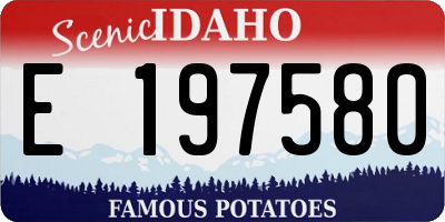 ID license plate E197580