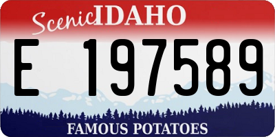 ID license plate E197589