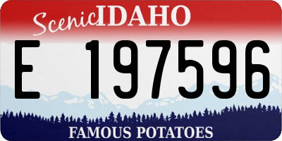 ID license plate E197596