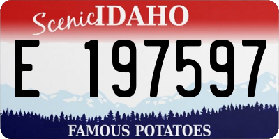 ID license plate E197597