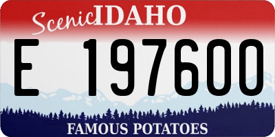 ID license plate E197600