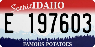 ID license plate E197603