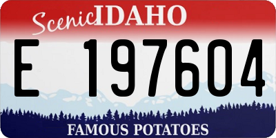 ID license plate E197604