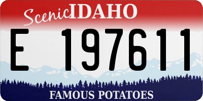 ID license plate E197611