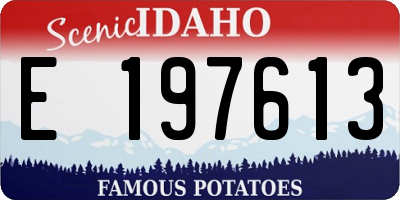 ID license plate E197613