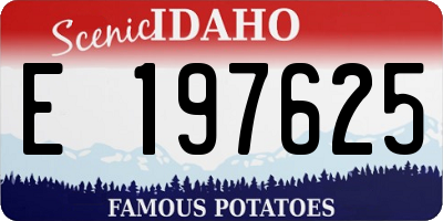 ID license plate E197625