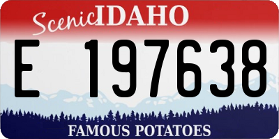 ID license plate E197638