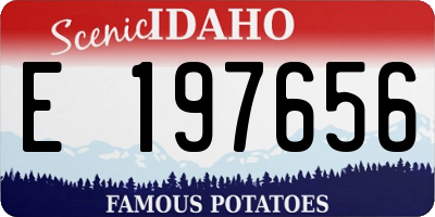 ID license plate E197656