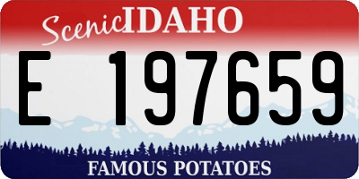 ID license plate E197659
