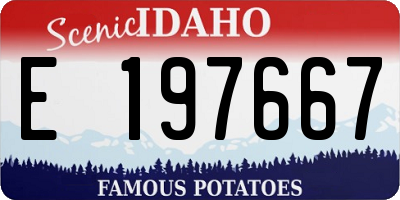 ID license plate E197667