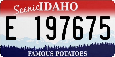 ID license plate E197675