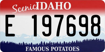 ID license plate E197698