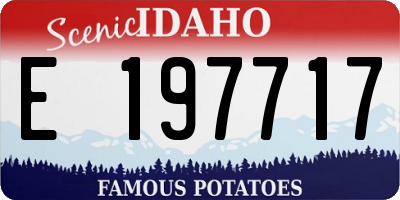 ID license plate E197717