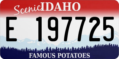 ID license plate E197725
