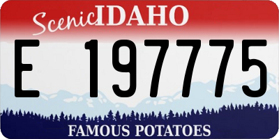 ID license plate E197775