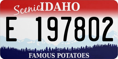 ID license plate E197802