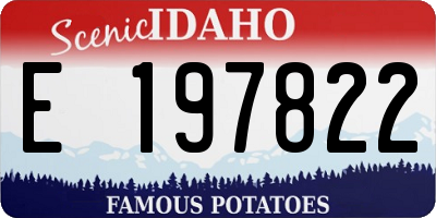 ID license plate E197822