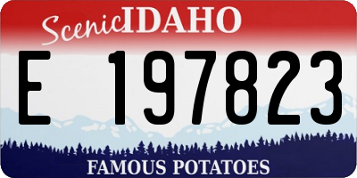 ID license plate E197823