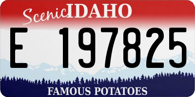 ID license plate E197825