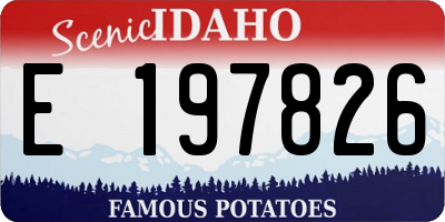 ID license plate E197826