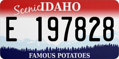 ID license plate E197828