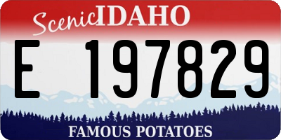 ID license plate E197829