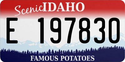 ID license plate E197830