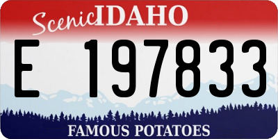 ID license plate E197833