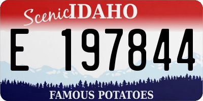 ID license plate E197844