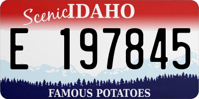 ID license plate E197845