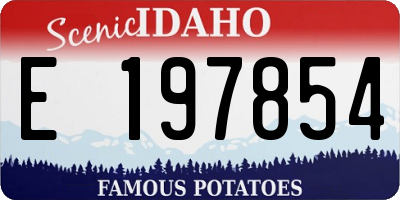ID license plate E197854
