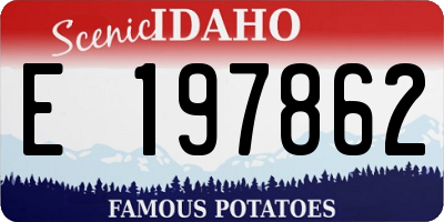 ID license plate E197862