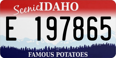 ID license plate E197865