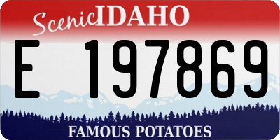 ID license plate E197869