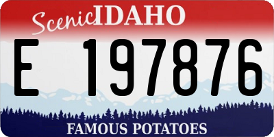 ID license plate E197876