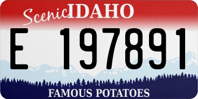 ID license plate E197891