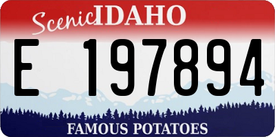 ID license plate E197894