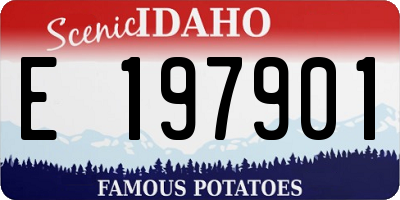 ID license plate E197901