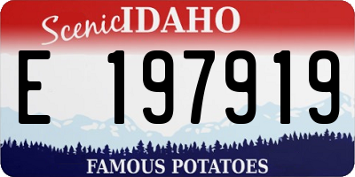 ID license plate E197919