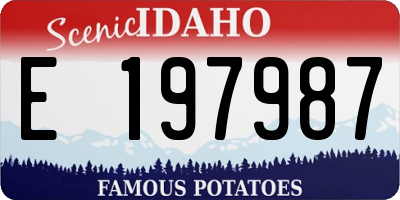 ID license plate E197987