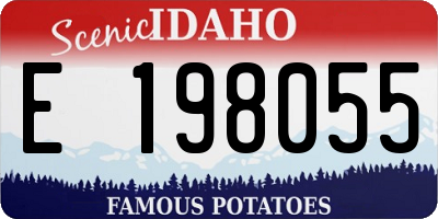 ID license plate E198055