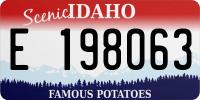 ID license plate E198063