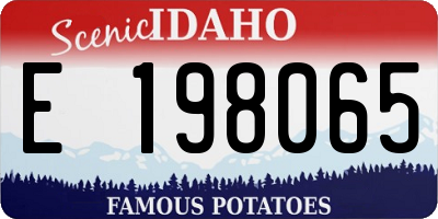 ID license plate E198065