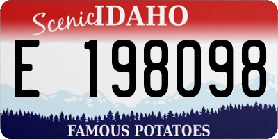 ID license plate E198098