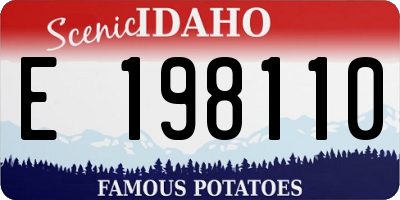 ID license plate E198110